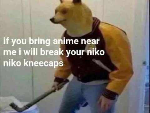 if you bring anime near me i will break your niko niko kneecaps