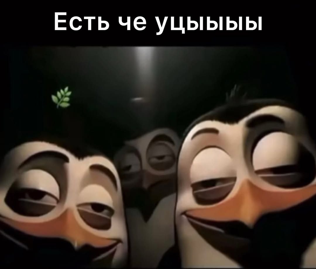 Есть че уцыыыы