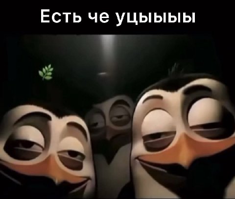 Есть че уцыыыы