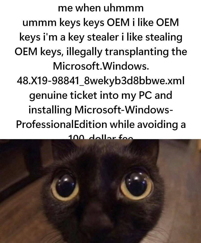me when uhmmm ummm keys keys OEM i like OEM keys a key stealer i like stealing OEM keys, illegally transplanting the Microsoft.Windows. 48.X19-98841_8wekyb3d8bbwe.xml genuine ticket into my and instal