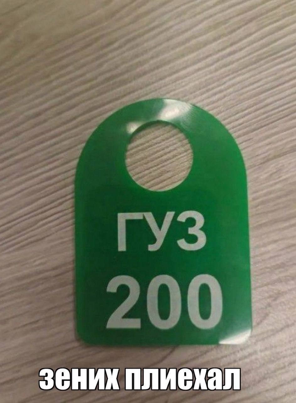 зених плиехал
