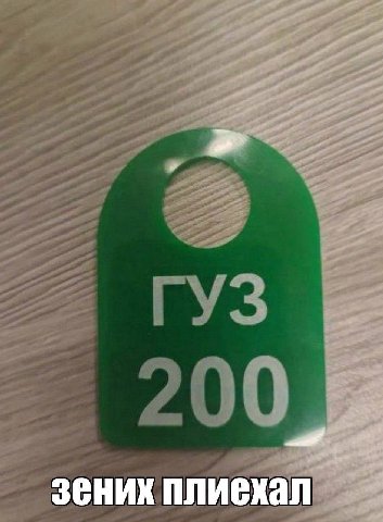 зених плиехал