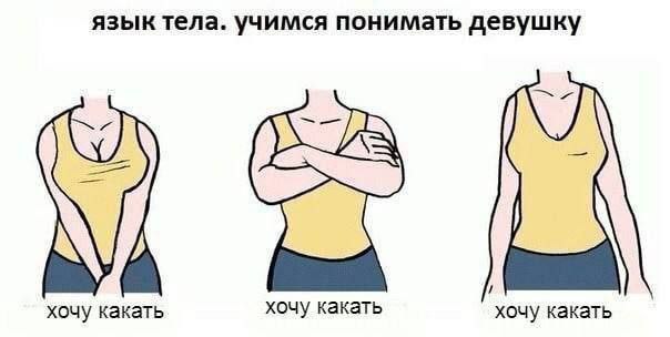 язык тела. учимся понимать девушку хочу какать хочу какать хочу какать