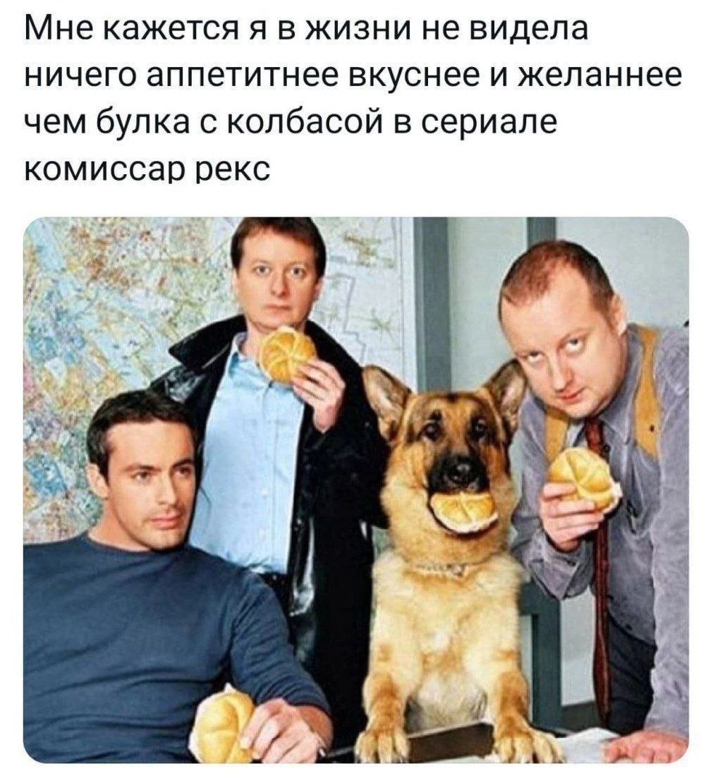 Мне кажется я в жизни не видела ничего аппетитнее вкуснее и желаннее чем булка с колбасой в сериале комиссар рекс 2