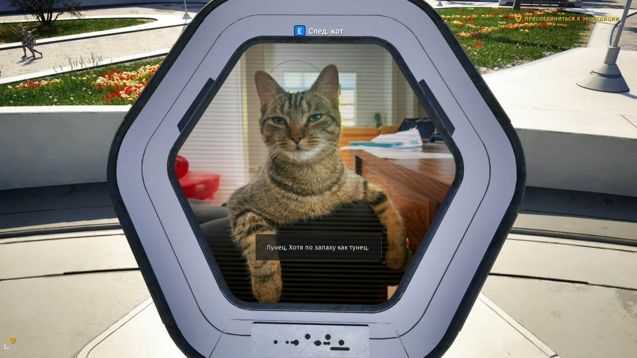 mean: ПРИСОЕДИНИТЬСЯ ЦИИ KOT) an a. Лунец. Хотя по запаху как тунец. Mig