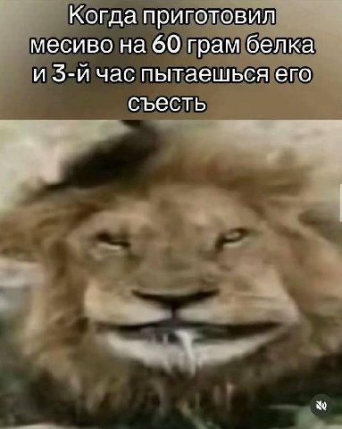 Когда приготовил месиво на 60 грам белка и час пытаешься его съесть