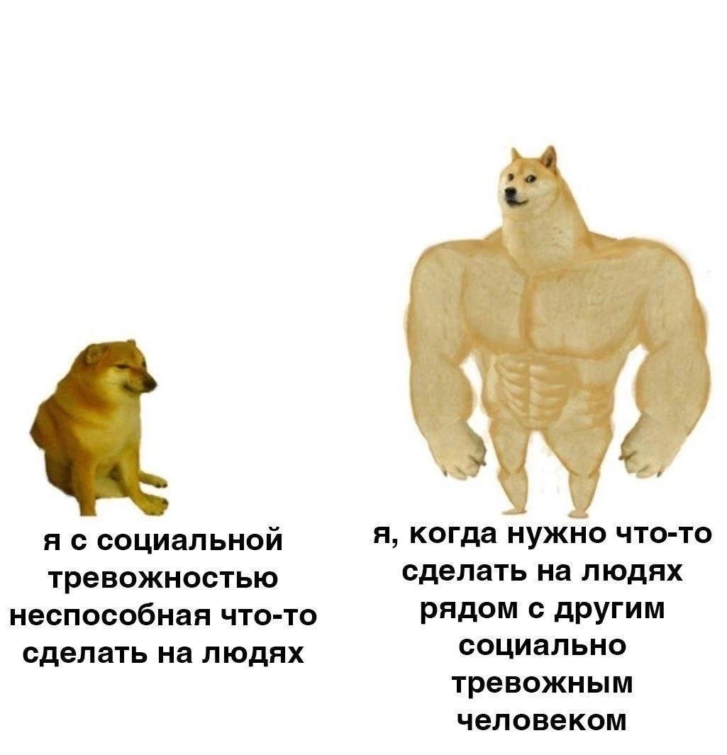 я с социальной я, когда нужно что-то тревожностью сделать на людях неспособная что-то рядом с другим сделать на людях социально тревожным человеком