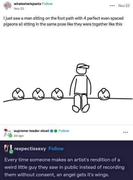 whalesharkpasta Follow Моу 23 Nay 23 just saw a man sitting on the foot path with 4 perfect even spaced pigeons all sitting In the same pose they were together like this 24 1 respectissexy Every time 
