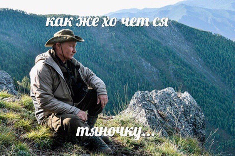 как Же 7