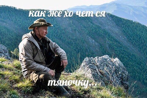 как Же 7