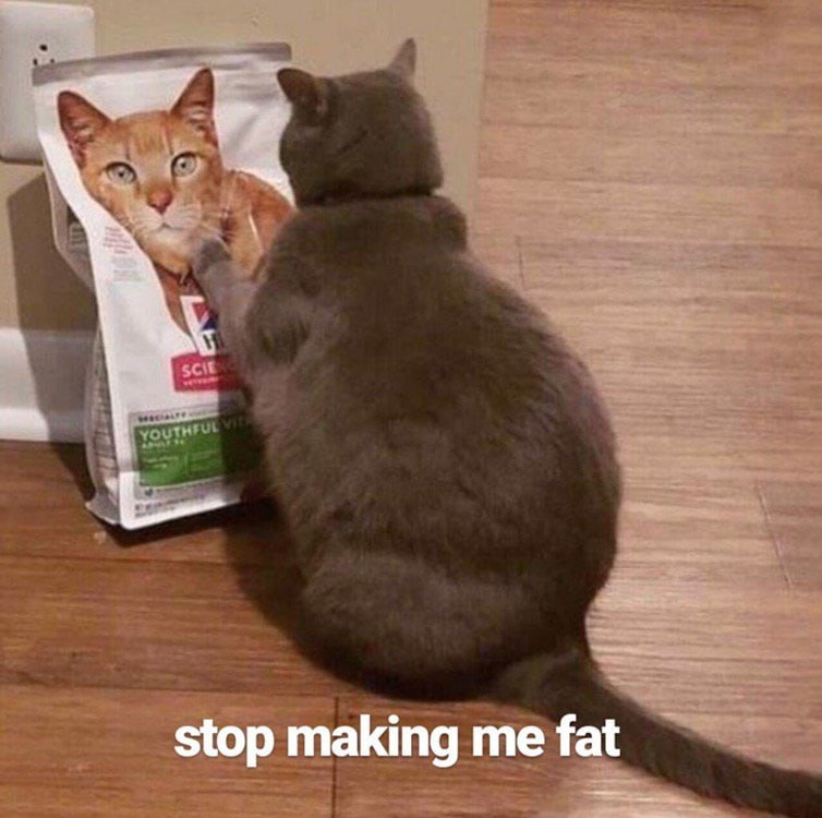 stop making fat