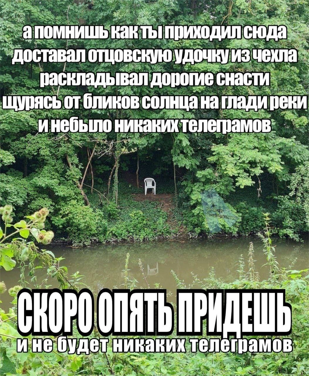 апомнишь как ты приходил сюда доставал отцовскую удочку раскладывал дорогие снасти щурясь от бликов солнца нагладиреки