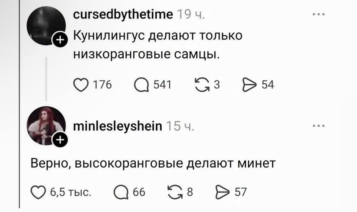 cursedbythetime 19 Кунилингус делают только низкоранговые самцы. 541 3 54 a minlesleyshein 15 Верно, высокоранговые делают минет 6,5 тыс. 66 8 57