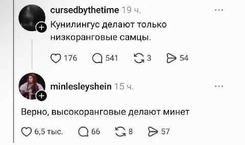 cursedbythetime 19 Кунилингус делают только низкоранговые самцы. 541 3 54 a minlesleyshein 15 Верно, высокоранговые делают минет 6,5 тыс. 66 8 57