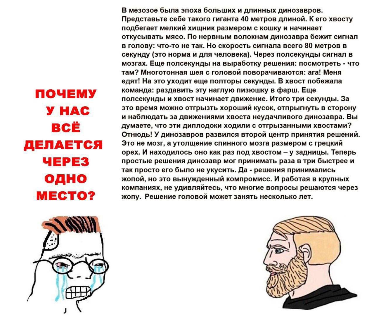 В мезозое была эпоха больших и длинных динозавров. Представьте себе такого гиганта 40 метров длиной. К его хвосту подбегает мелкий хищник размером с кошку и начинает откусывать мясо. По нервным волокн
