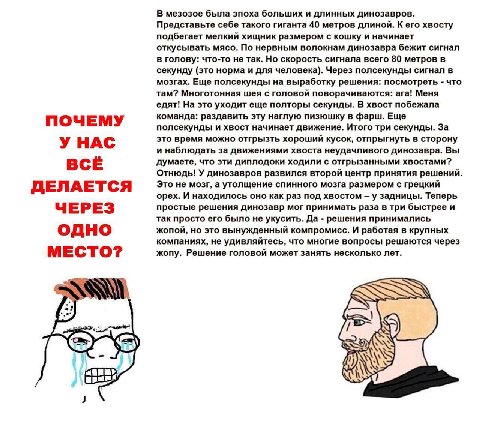 В мезозое была эпоха больших и длинных динозавров. Представьте себе такого гиганта 40 метров длиной. К его хвосту подбегает мелкий хищник размером с кошку и начинает откусывать мясо. По нервным волокн