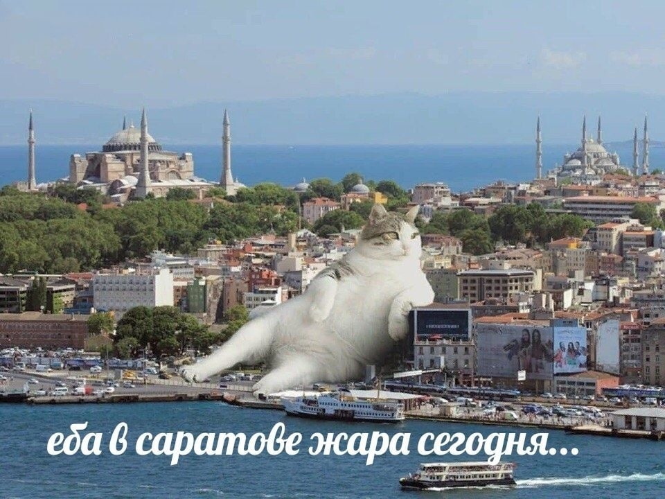 i? we 4 а we. a in еба 6 саратове жара