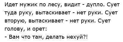 Идет мужик по лесу, видит дупло. Сует туда руку, вытаскивает нет руки. Сует вторую, вытаскивает нет руки. Сует голову, и орет: Вам что там, делать нехуй?!