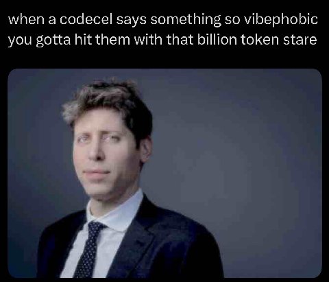when а codecel says something so vibephobic you gotta hit them with that billion token stare у