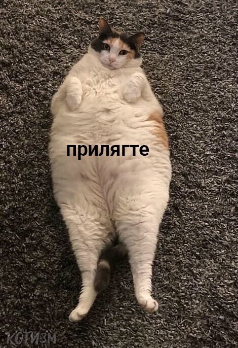 2 1 при 2 5 7 a у я