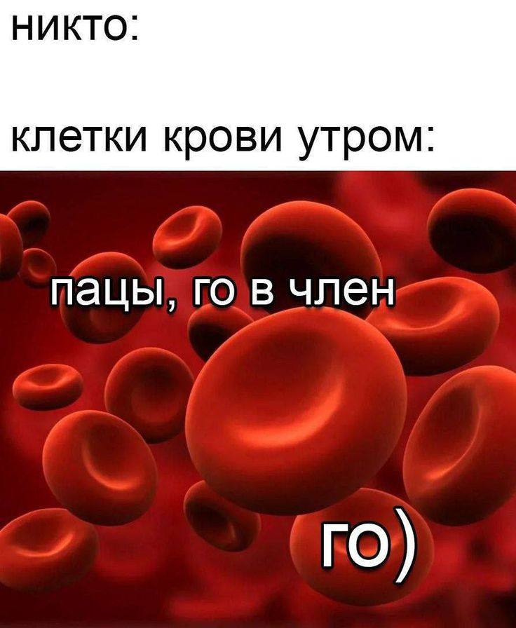 НИКТО: клетки крови утром пацы, в член