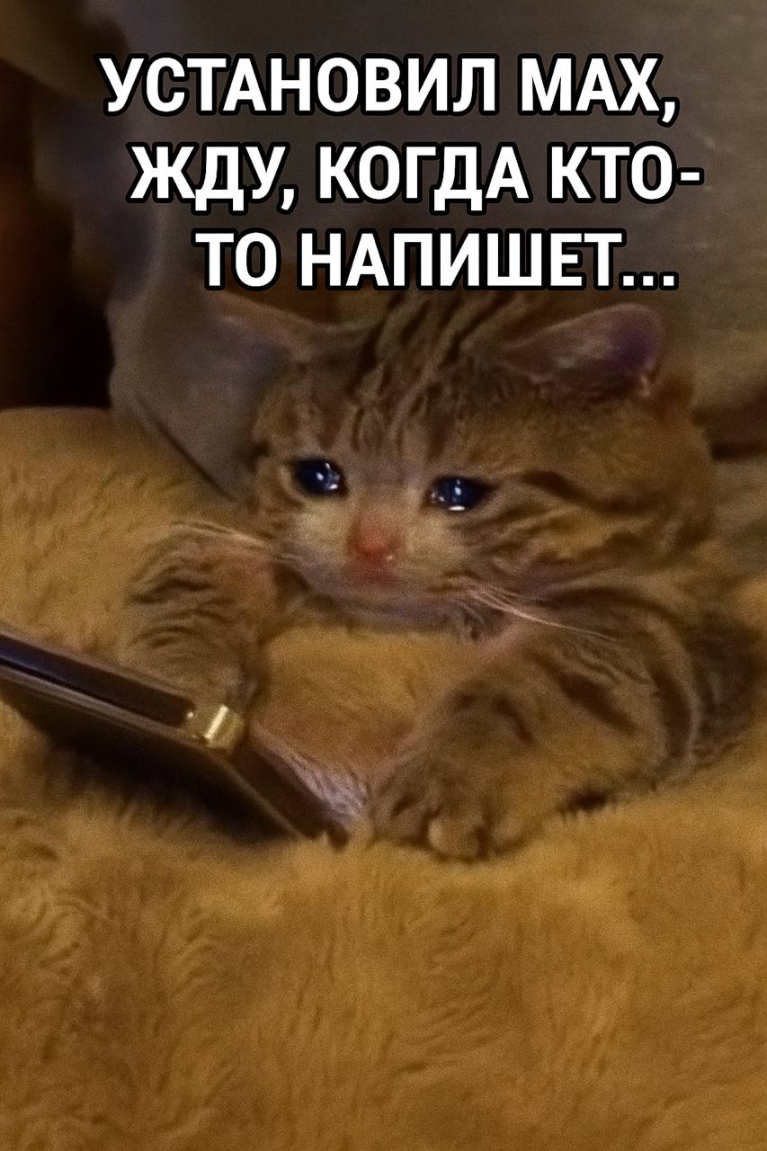 УСТАНОВИЛ МАХ, ЖДУ, КОГДА КТО- ТО НАПИШЕТ...