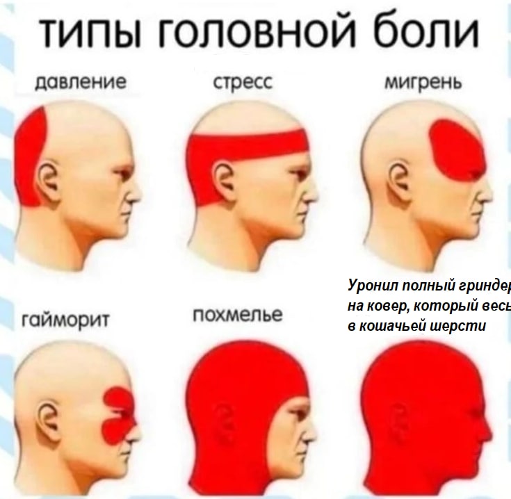 типы головной боли давление стресс мигрень У у Уронил полный гайморит похмелье на ковер, который весь в кошачьей шерсти