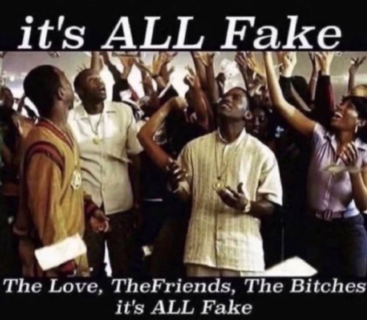 it's ALL Fake a The Lows, TheFriends, The Bitches it's ALL Fake