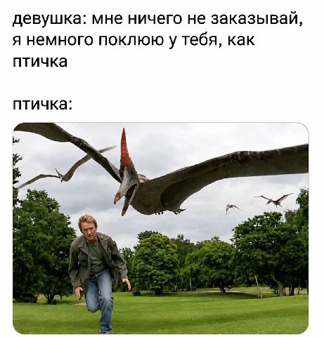 девушка: мне ничего не заказывай, я немного поклюю у тебя, как птичка птичка: