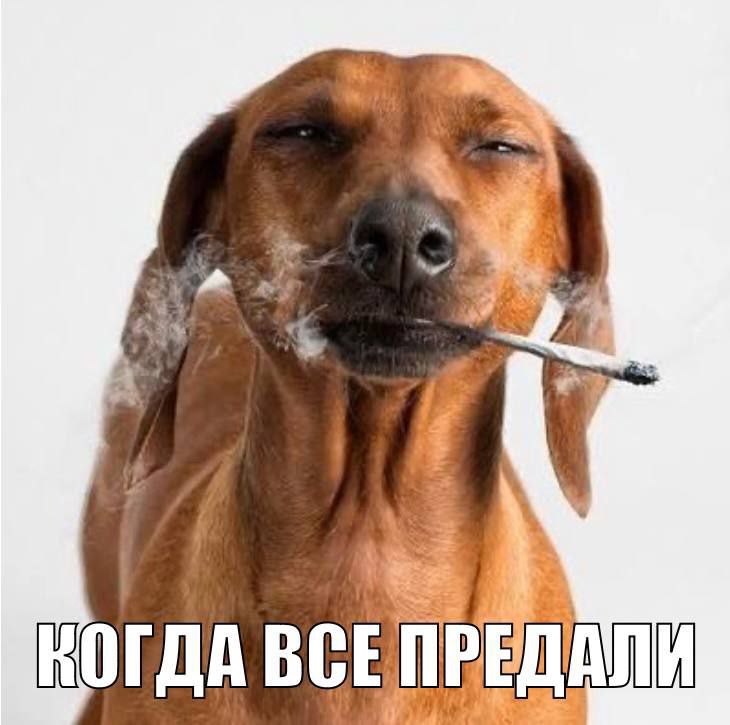 BCE ПРЕДАЛИ