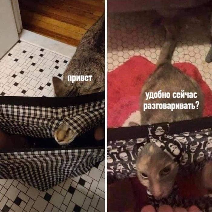 привет удобно сейчас разговаривать?