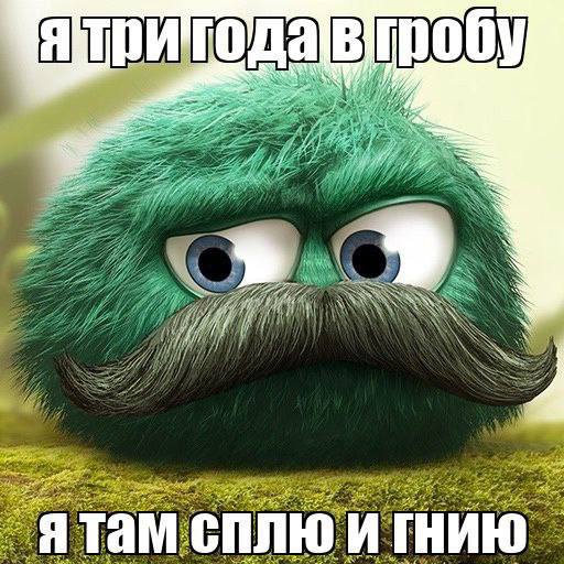 ятам сплю и гнию