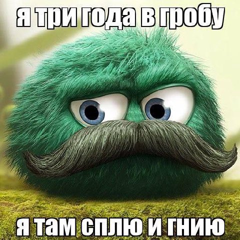 ятам сплю и гнию