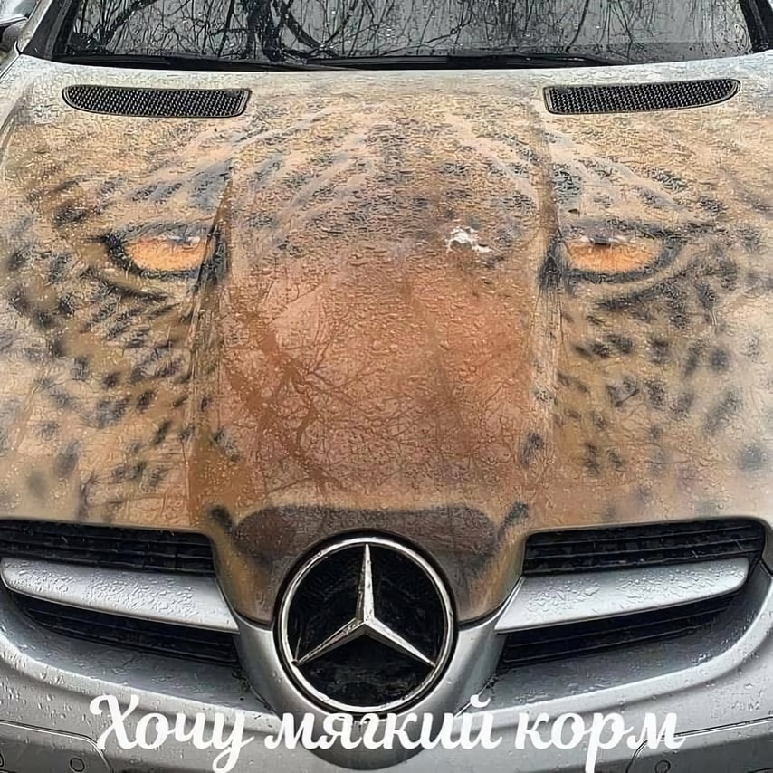 7 у я owe 5 Tear coy 1 a у 3 4 а A у 4 7 27 2 a 2 я on 7 6 4