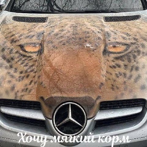 7 у я owe 5 Tear coy 1 a у 3 4 а A у 4 7 27 2 a 2 я on 7 6 4