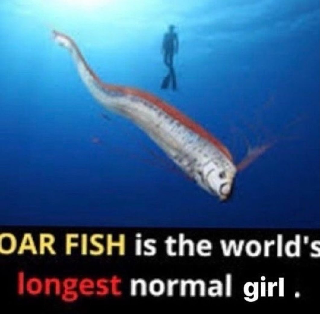 ОАК FISH is the world's normal girl