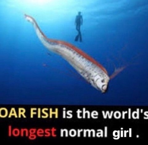 ОАК FISH is the world's normal girl