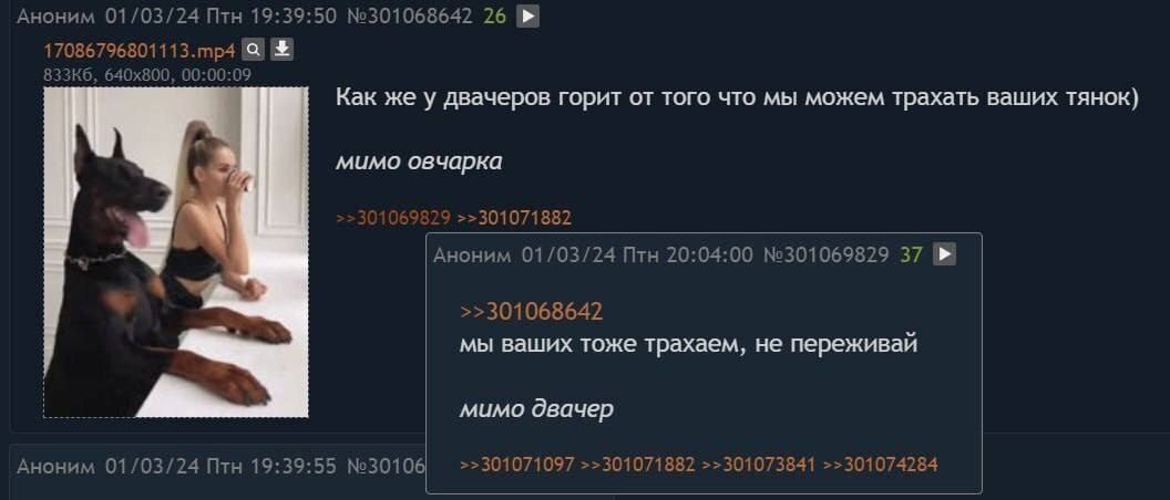 Аноним 01/03/24 Птн 19:39:50 №301068642 26 00:00:09 Kak же у двачеров горит от того что мы можем трахать ваших TAHOK) мимо овчарка 29 >>301071882 Аноним 01/03/24 Птн 20:04:00 №301069829 37 >>301068642