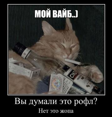 МОЙ BAKB..) Вы думали это рофл? Нет это жопа