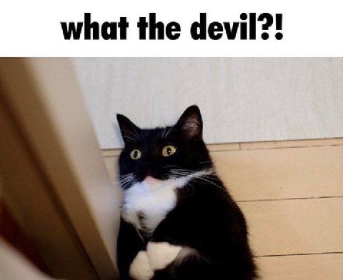 what the devil?! о