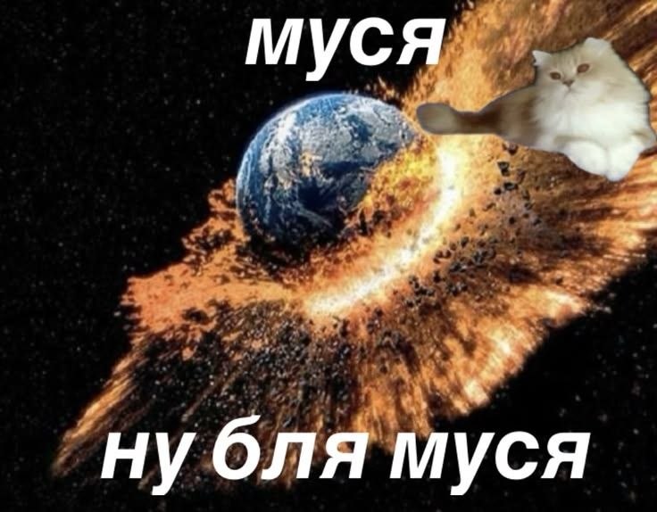 ну бля муся