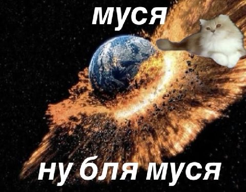 ну бля муся