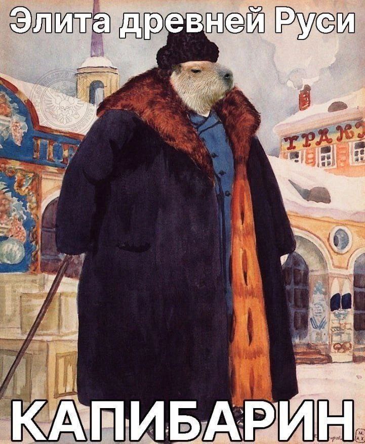 Элита И рев у A 2