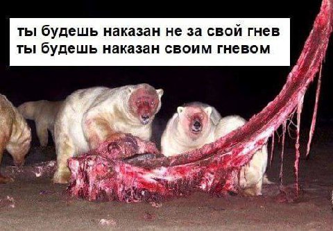 ты будешь наказан не за свой гнев ты будешь наказан своим гневом о