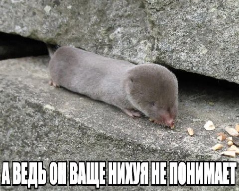 Pie A. =i a к a ВАЩЕНИХУЯ HE ПОНИМАЕТ