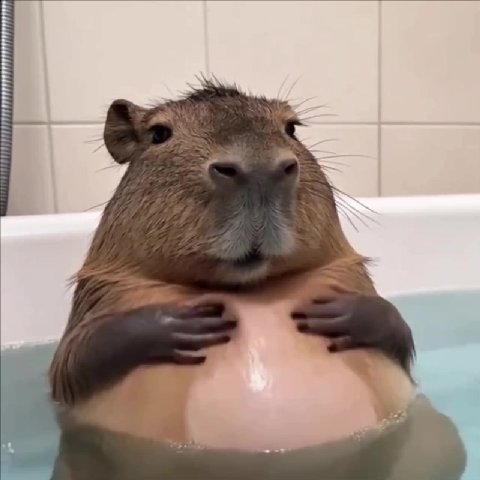 мем
