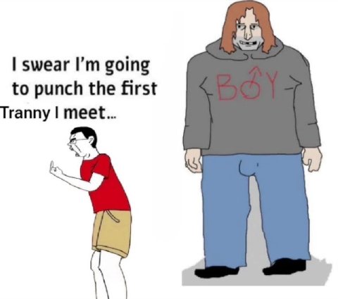swear going to punch the first Tranny meet...