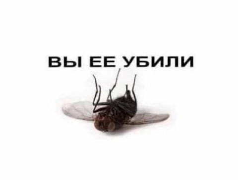 ВЫ ЕЕ УБИЛИ