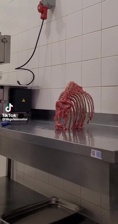 TikTok regeleoaselor
