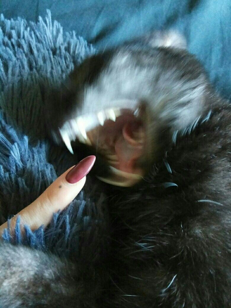 у ath ifs